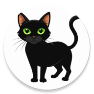 Katze